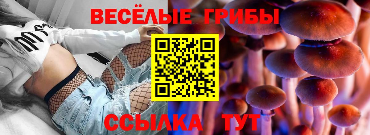 Псилоцибиновые грибы мицелий Ленинск-Кузнецкий